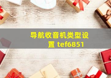 导航收音机类型设置 tef6851